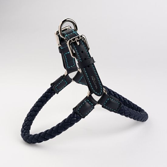 Picture of Harness