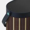 图片 Beosound A5 RIVA EDITION