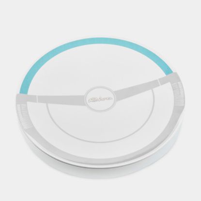 Picture of "Riva Steering Wheel" plate
